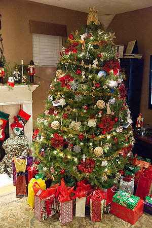 Christmas 2013-8652