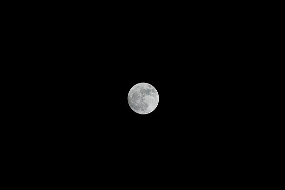 Moon-0366