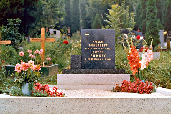 Amalia Forgacova