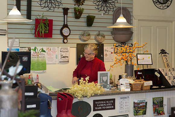 Dig This Store Photos-8852