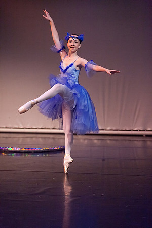 Alice-In-Wonderland-9566