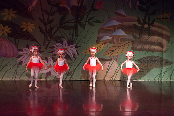 Alice-In-Wonderland-0570