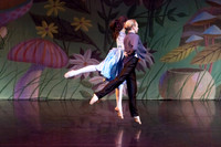 Alice-In-Wonderland-0479