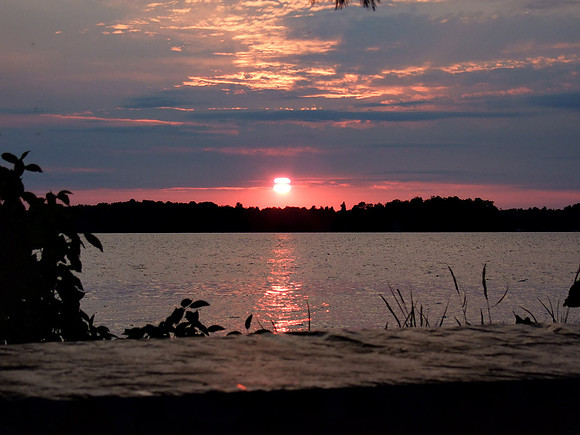 DSCF0106