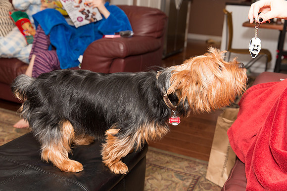 Christmas 2015-7347