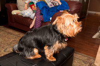 Christmas 2015-7346