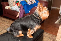 Christmas 2015-7345