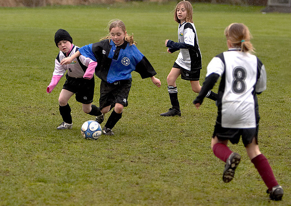 CRW_0308