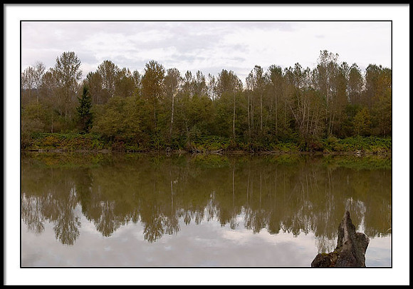 CRW_3401