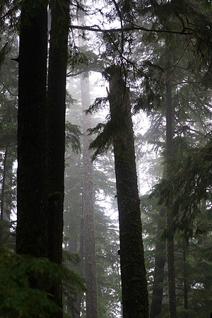 Tofino Photo Workshop-0001-2