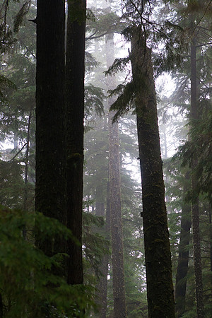Tofino Photo Workshop-0002-2