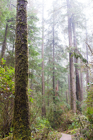 Tofino Photo Workshop-0003-2
