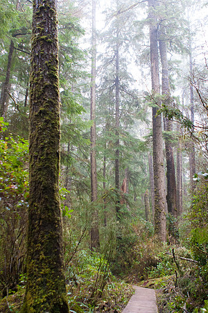 Tofino Photo Workshop-0004-2