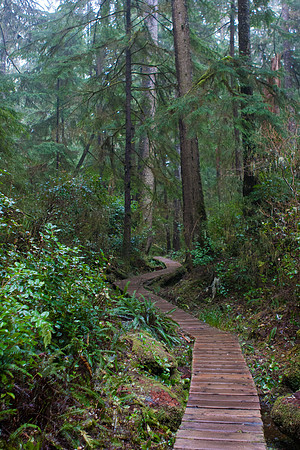 Tofino Photo Workshop-0006-2