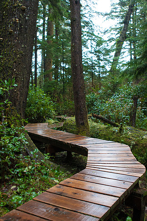 Tofino Photo Workshop-0007-2