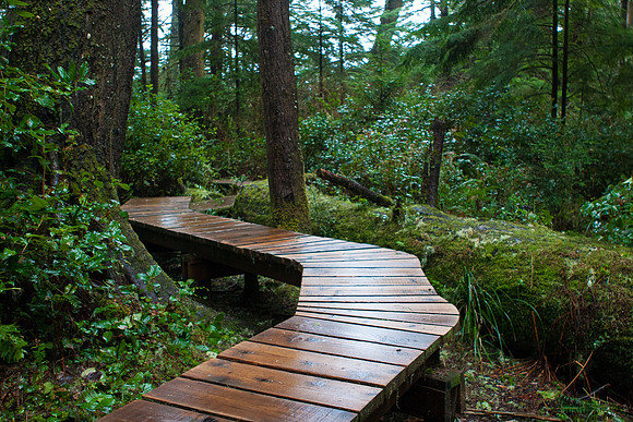 Tofino Photo Workshop-0008-2