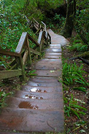 Tofino Photo Workshop-0009-2