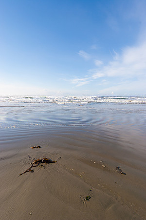 Tofino Photo Workshop-9762