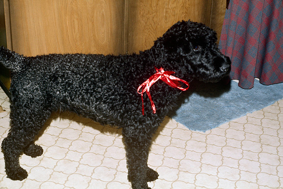 Christmas 1975 - Duster 6