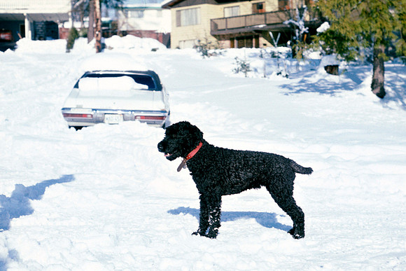 Christmas 1975 - Duster 3