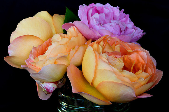 Macro-7927 copy