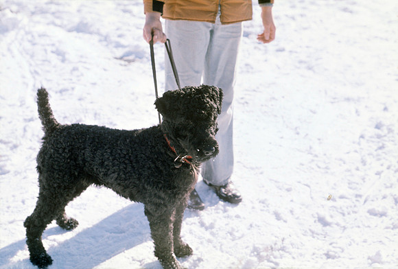 Christmas 1975 - Duster 7