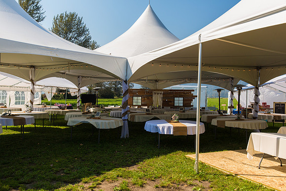 Daniel Wegener's Wedding-2434