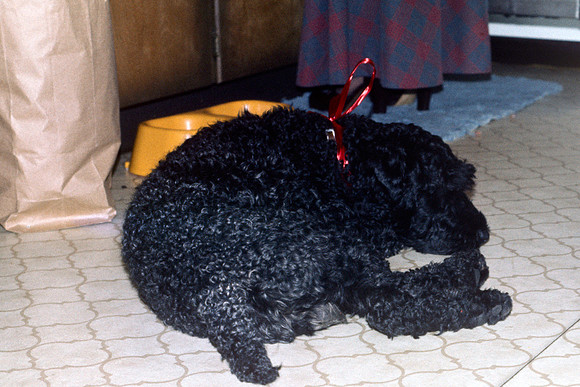 Christmas 1975 - Duster 4