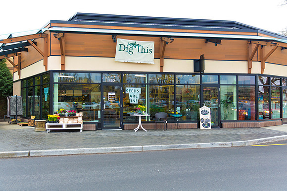 Dig This Store Photos-8853