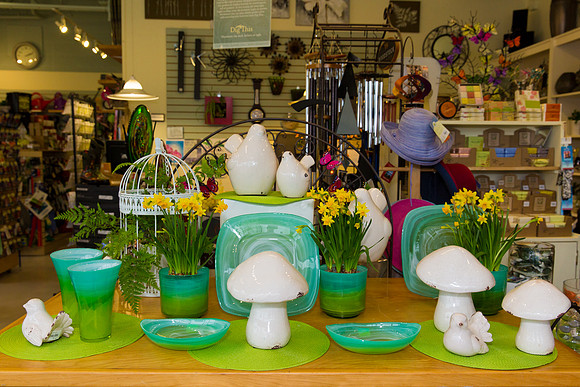 Dig This Store Photos-8864