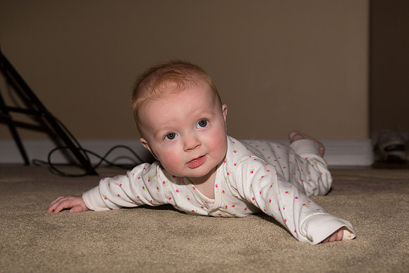 Christmas Portraits 2013-8104
