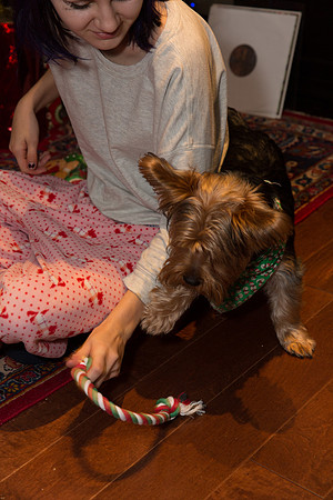 Christmas 2014-9573