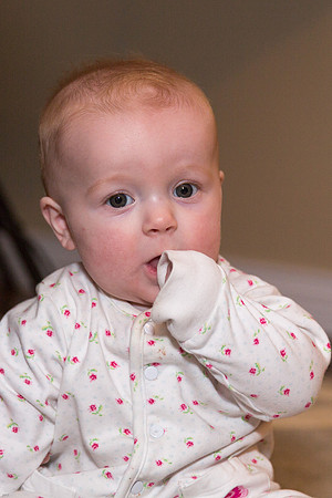 Christmas Portraits 2013-8109