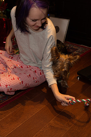 Christmas 2014-9574