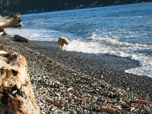 IMG_8910