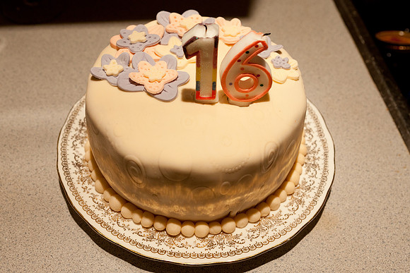 Maggie's-16th-Birthday-3575