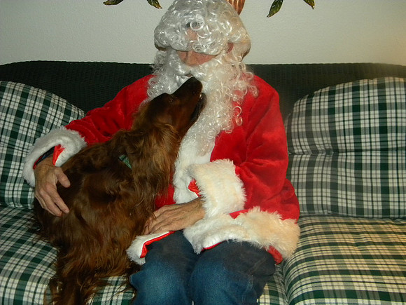 Santa Claus and Puppies 013