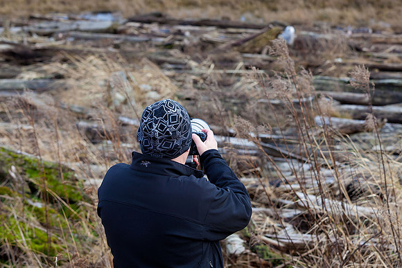 Snowy-Owls-January-25-2011-6667 copy