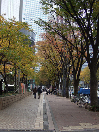 DSCF0956