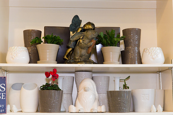 Dig This Store Photos-8870