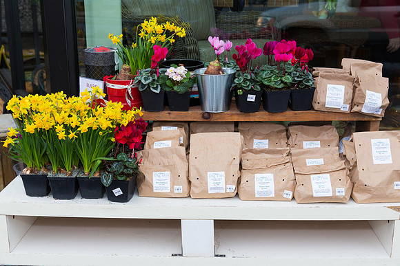 Dig This Store Photos-8857