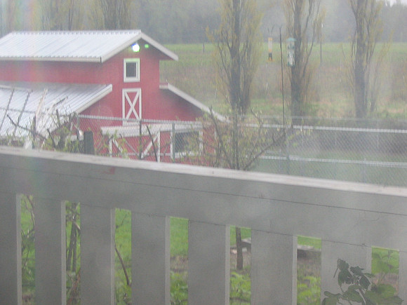 IMG_0039