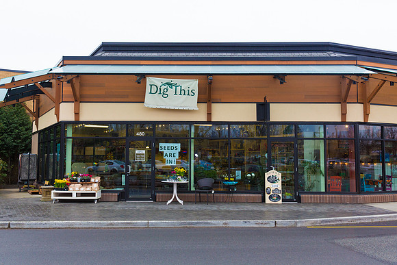 Dig This Store Photos-8856