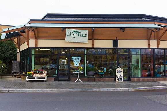Dig This Store Photos-8855