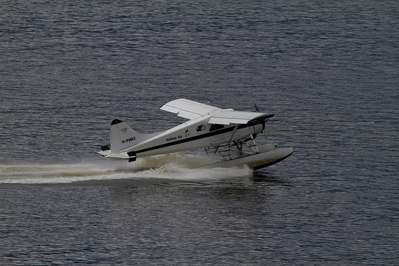 Alaskan Cruise-4158