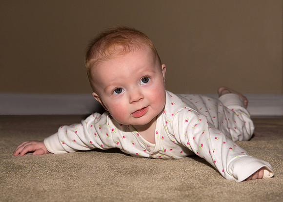 Christmas Portraits 2013-8104-5X7