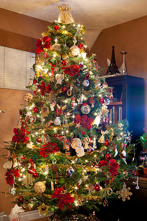 Christmas-2010-3333
