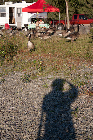 Fort-Langley-With-Jessica-4565