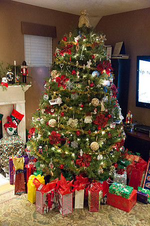Christmas 2013-8651