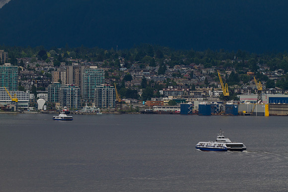 Alaskan Cruise-4147